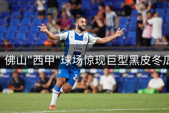 佛山"西甲"球场惊现巨型黑皮冬瓜，农文体融合开启新篇章