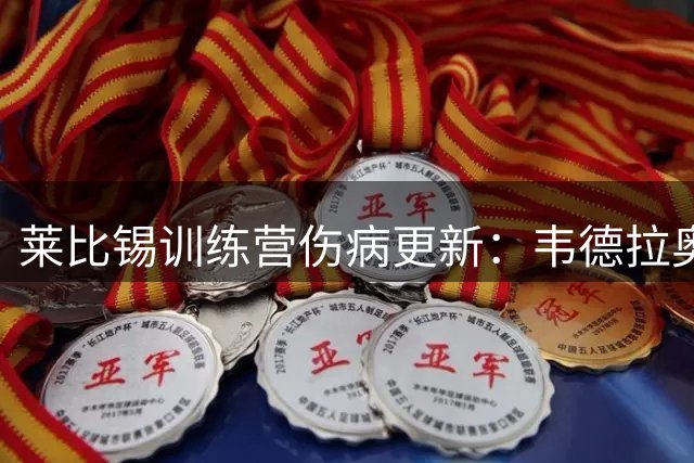 莱比锡训练营伤病更新：韦德拉奥果肩部受伤，迪奥曼德恢复训练